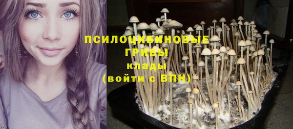 таблы Беломорск