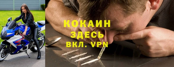 ПСИЛОЦИБИНОВЫЕ ГРИБЫ Богородицк